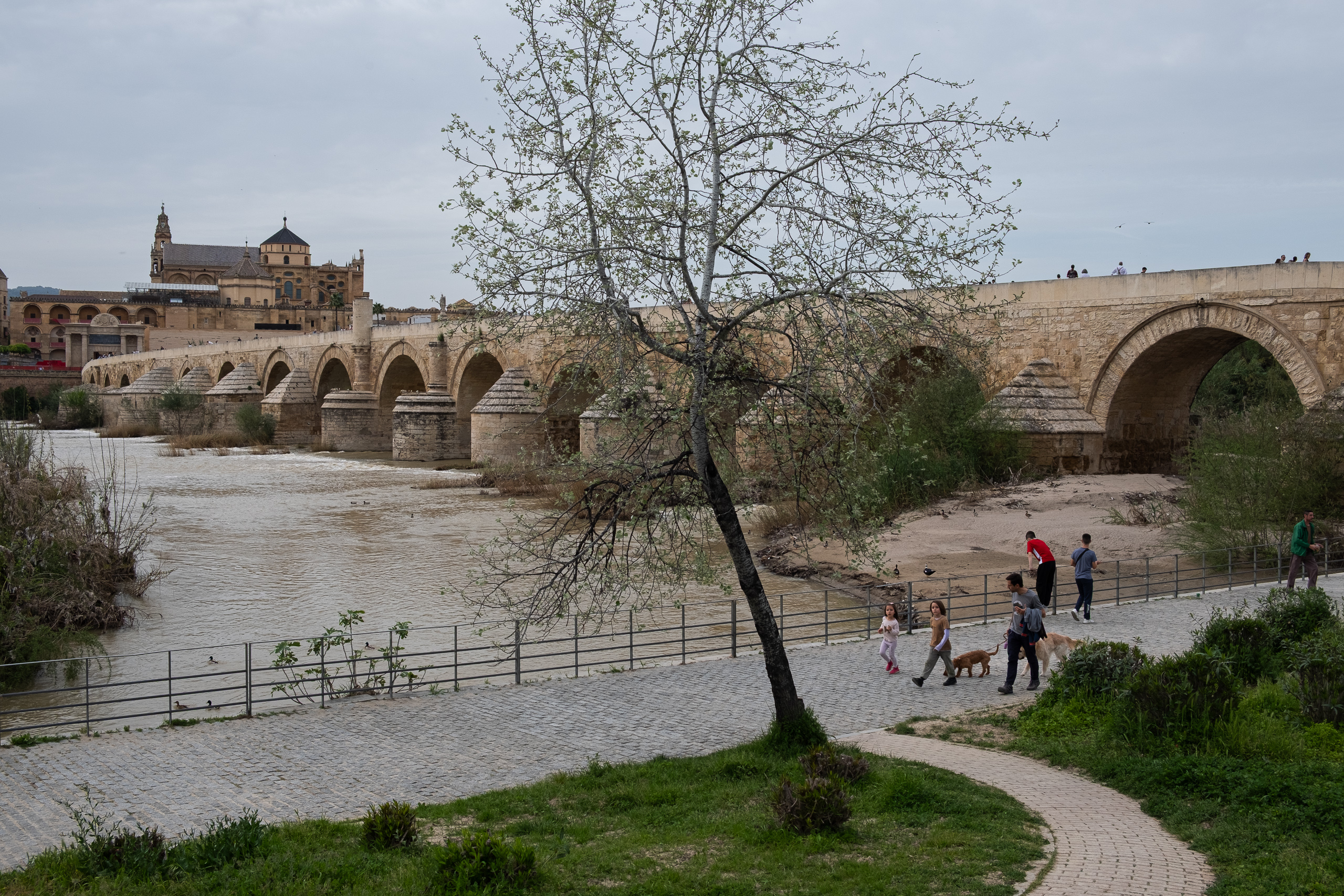 Der Puente Romano mit der Mezquita im Hintergrund